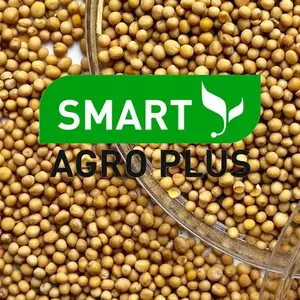 Олійні Олійні